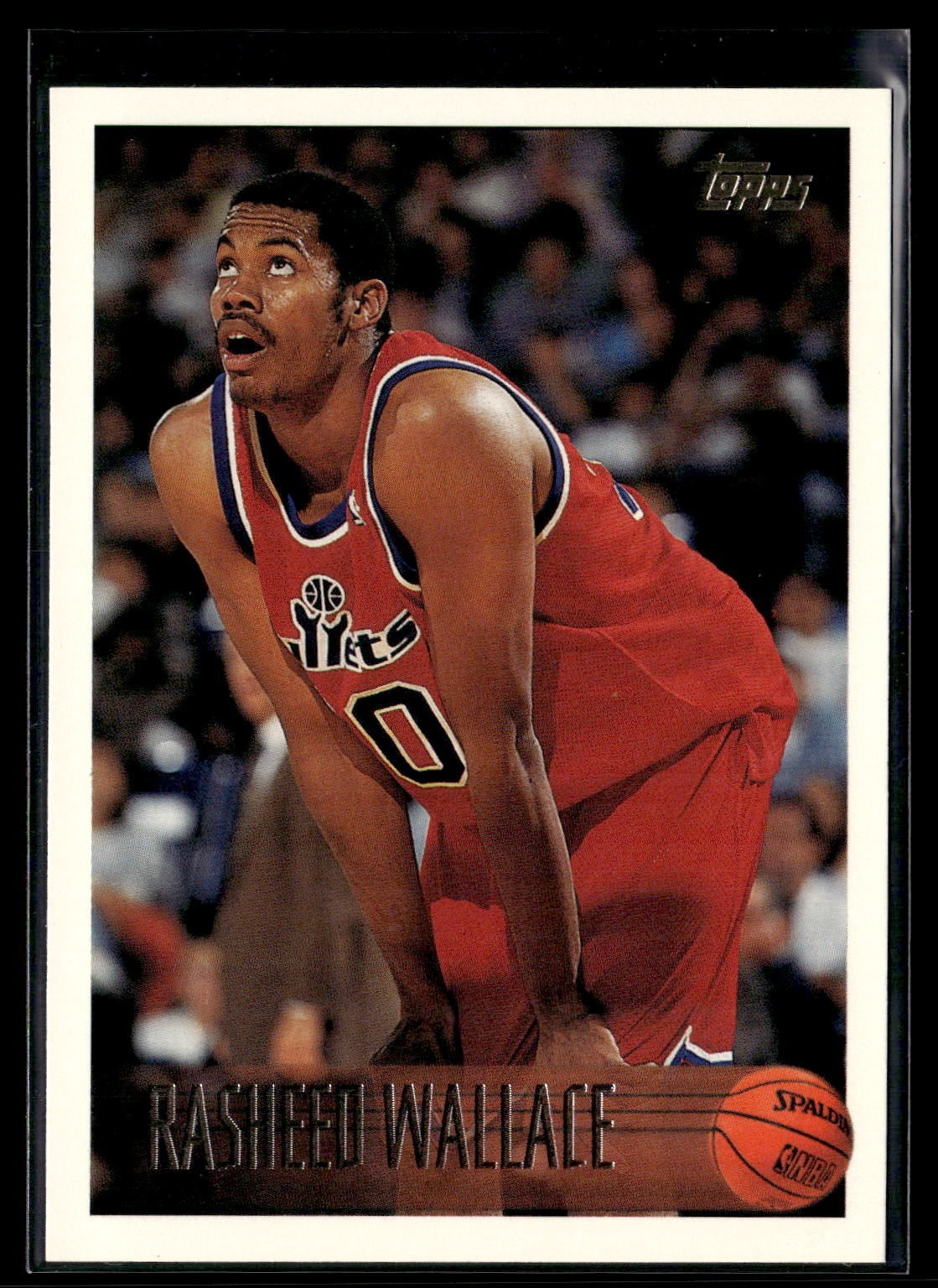1996-97 Topps #31 Rasheed Wallace