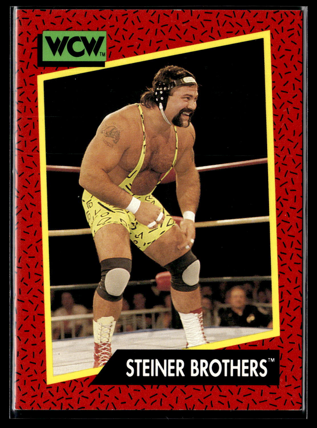 1991 Impel WCW #105 Steiner Brothers